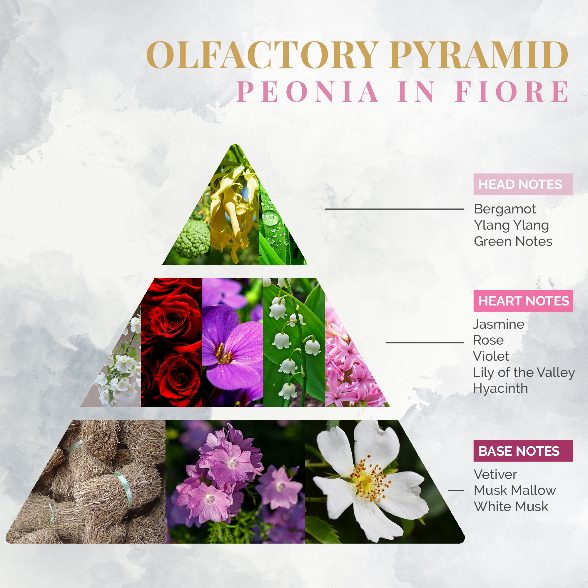 4 - Olfactory Notes - Logevy - Home Fragrance Diffuser - Peonia in Fiore