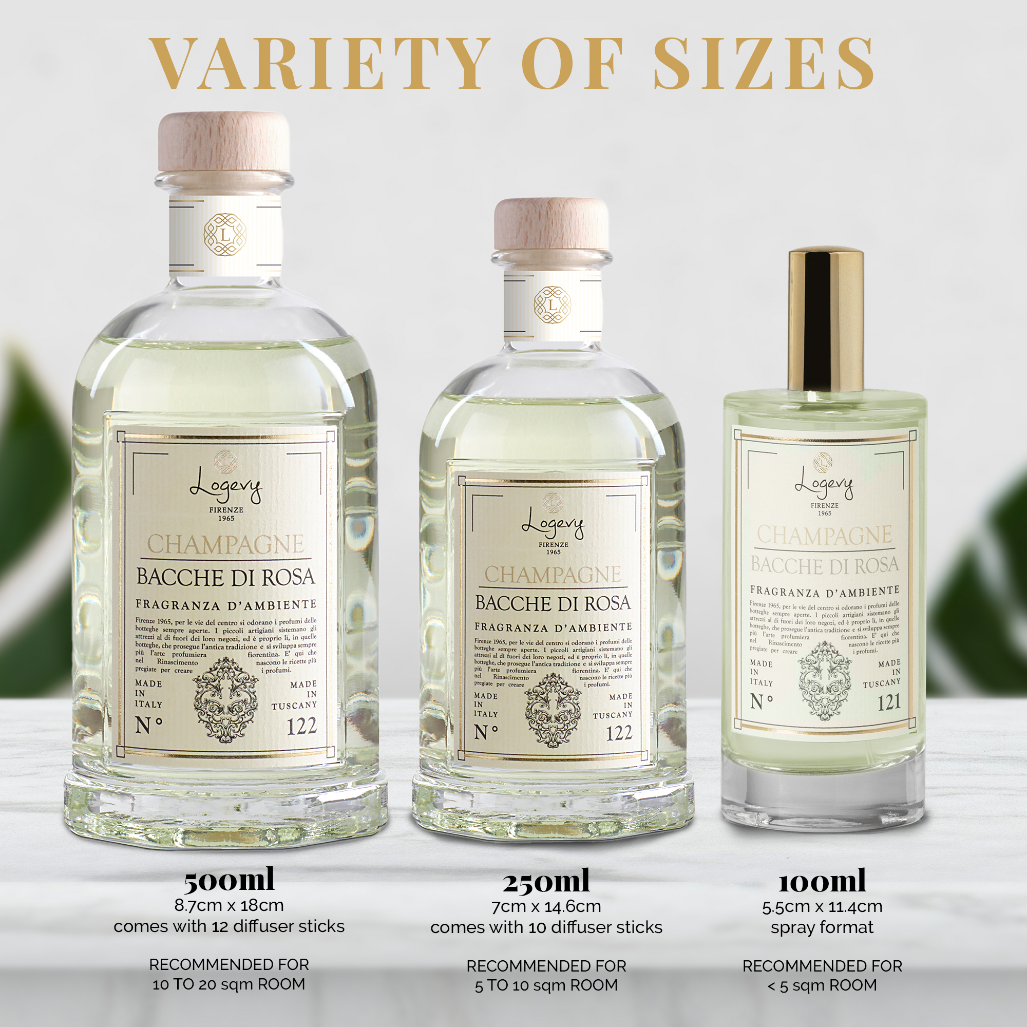 6 - Size - Logevy - Home Fragrance Spray - Champagne e Bacche di Rosa