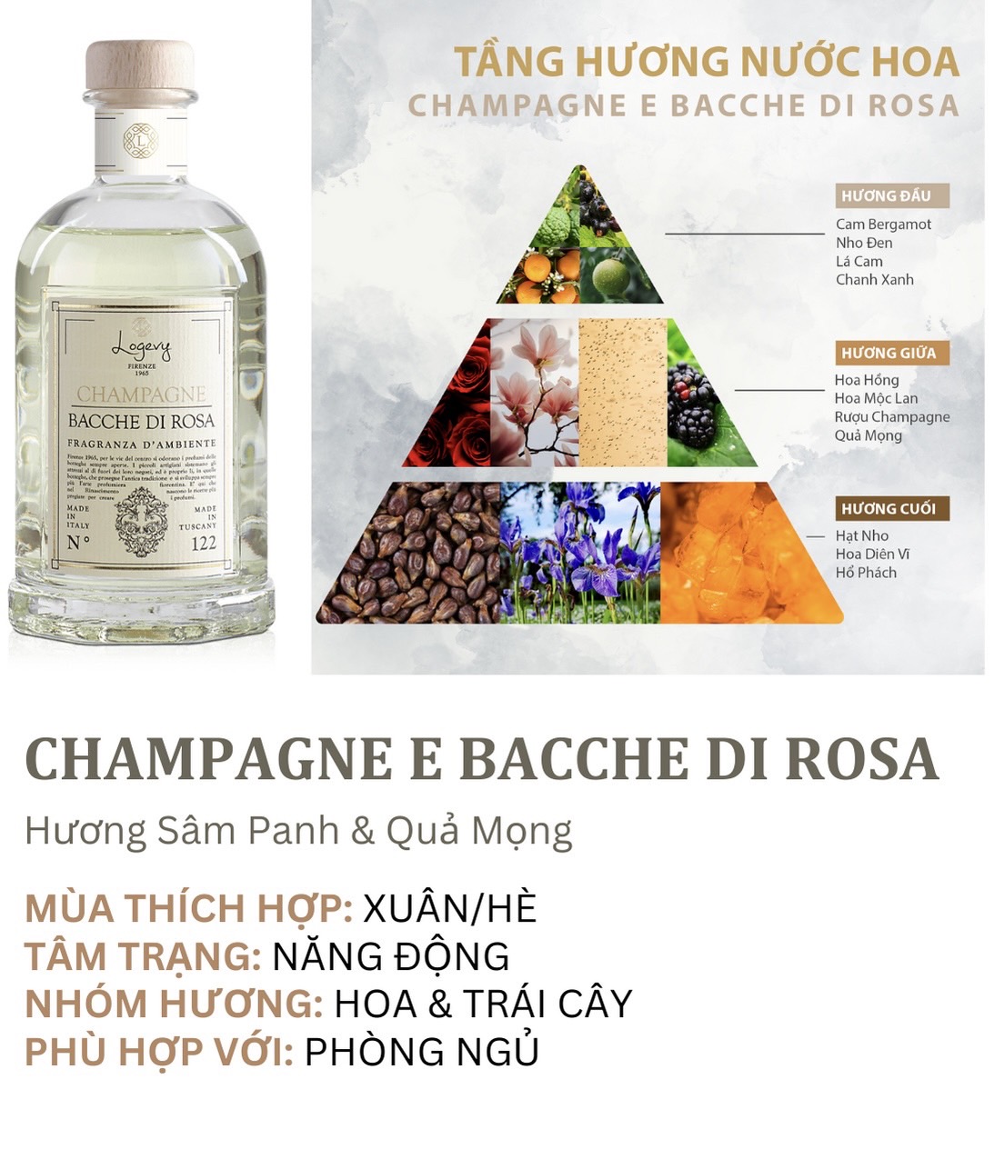 Champagne Tầng Hương
