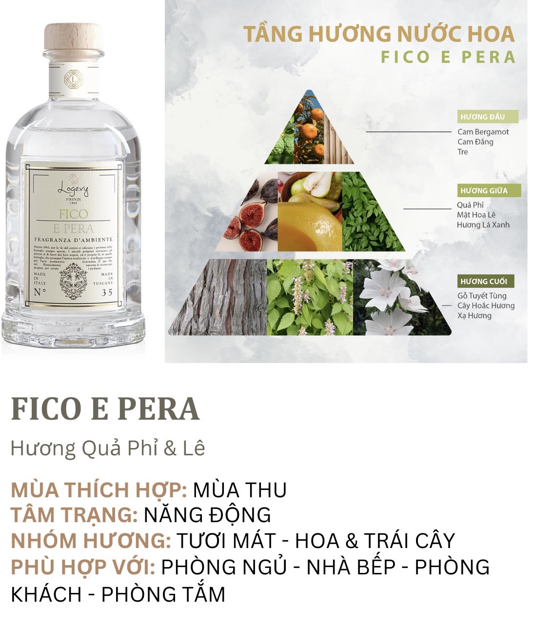 Fico Tầng Hương